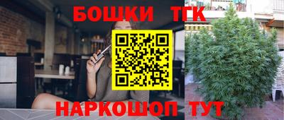 дмт Новодвинск