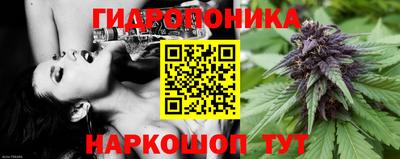 дмт Новодвинск
