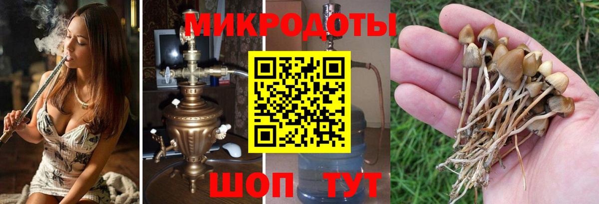 Псилоцибиновые грибы Magic Shrooms  Вход с VPN  Псилоцибиновые грибы прущие грибы  Сосновоборск 