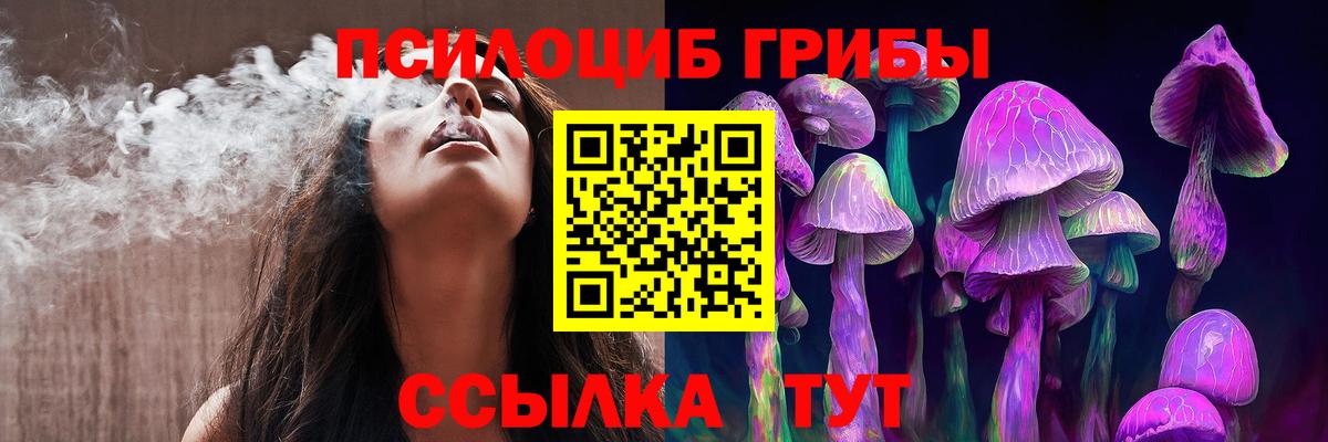 Галлюциногенные грибы Psilocybe Сосновоборск